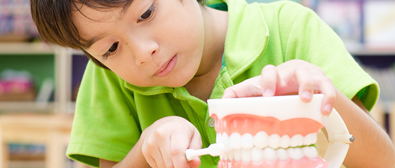 A partir dos 7 anos, a criança poderá começar a escovar os seus próprios dentes.