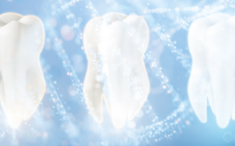 Dente: 10 esclarecimentos que tem de conhecer